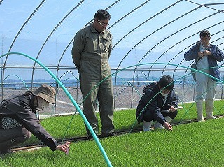 育苗ハウス巡回