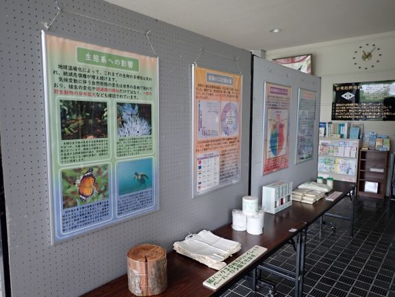 展示
