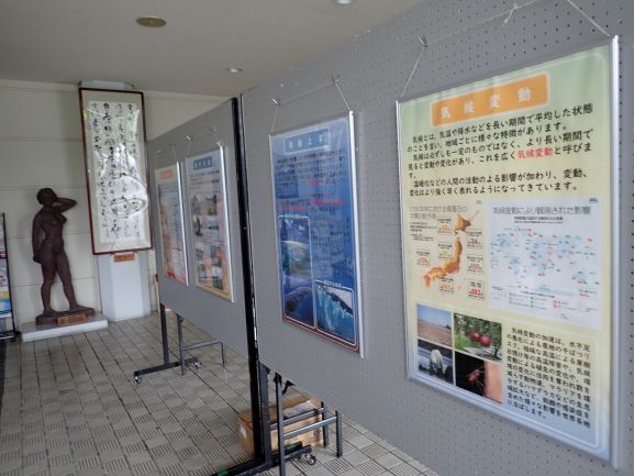 展示