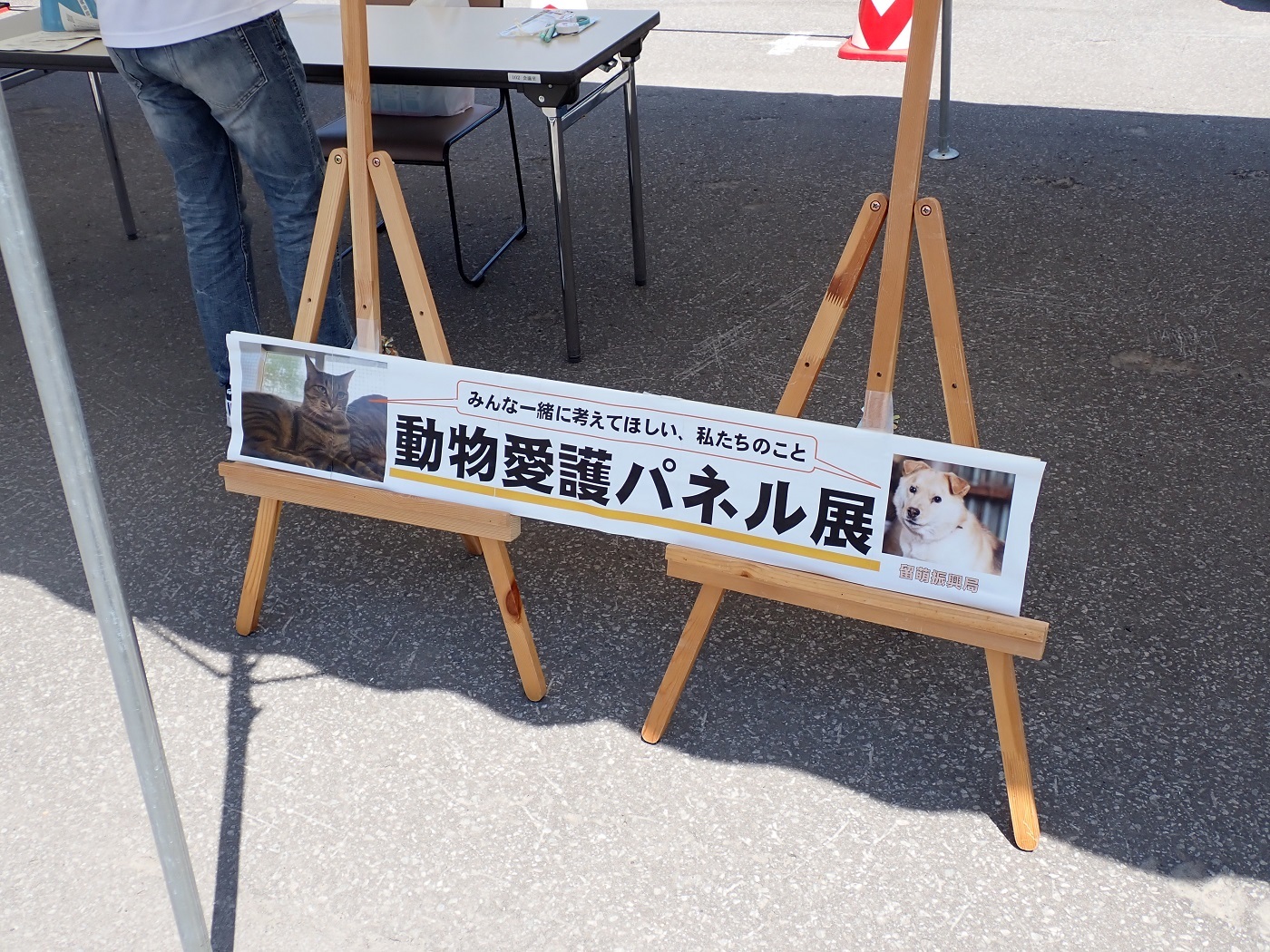 環境生活課による動物愛護パネル展の様子