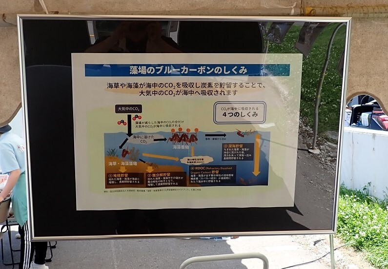 水産課による地域におけるブルーカーボンの推進による水産業振興に関するパネル展示の様子