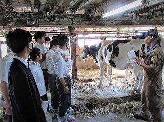 蜂須賀牧場　作業内容や育成牛、経産牛について説明を受ける生徒達