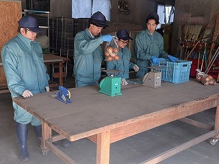 馬鈴薯の選果作業の審査