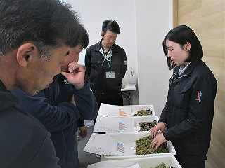 サイレージの比較評価
