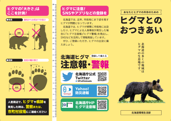 bear_11.PNG