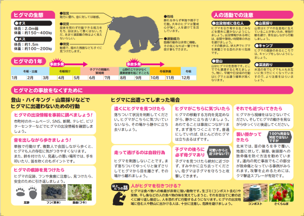 bear_22.PNG