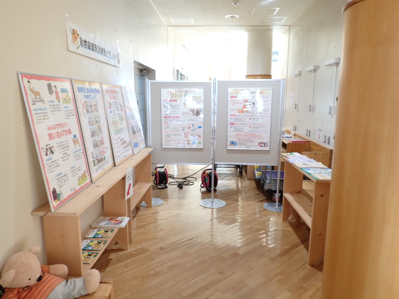 環境生活課による動物愛護パネル展の様子