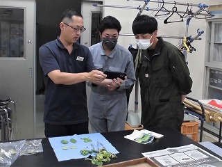 病害サンプルを熱心に観察