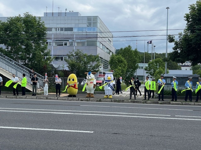 旗の波運動の様子2