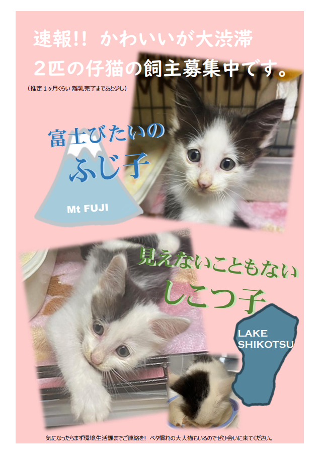 ふじ子としこつ子.png