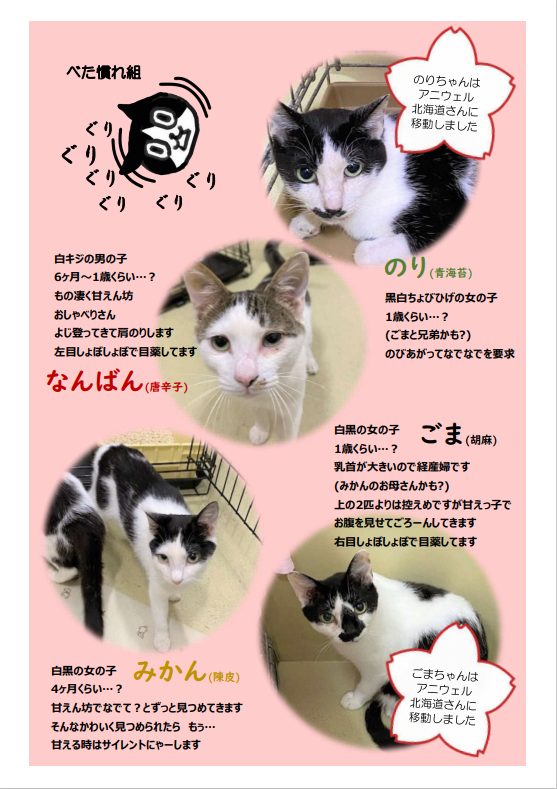 スクリーンショット 2025-08-04 111016.png
