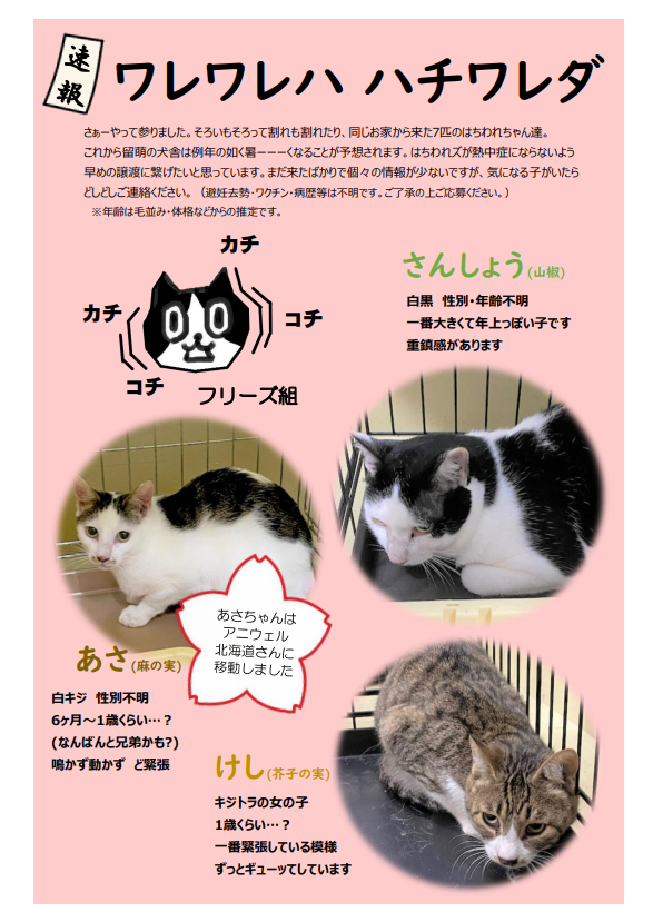 スクリーンショット 2025-09-02 174653.png