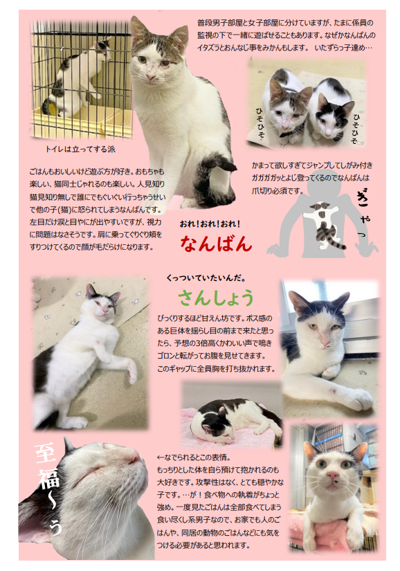 七味紹介2.png