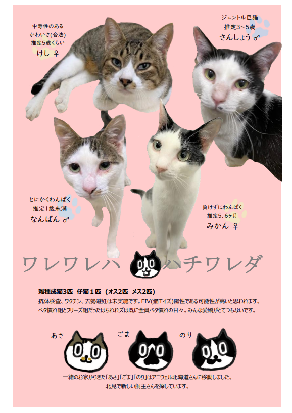 七味紹介1.png