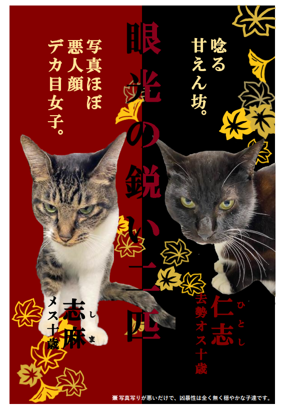 スクリーンショット 2025-11-14 111149.png