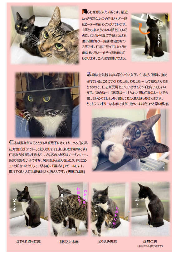 スクリーンショット 2025-11-14 111215.png