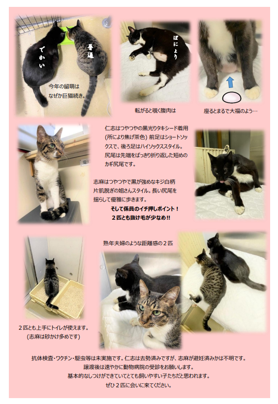 スクリーンショット 2025-11-14 111243.png