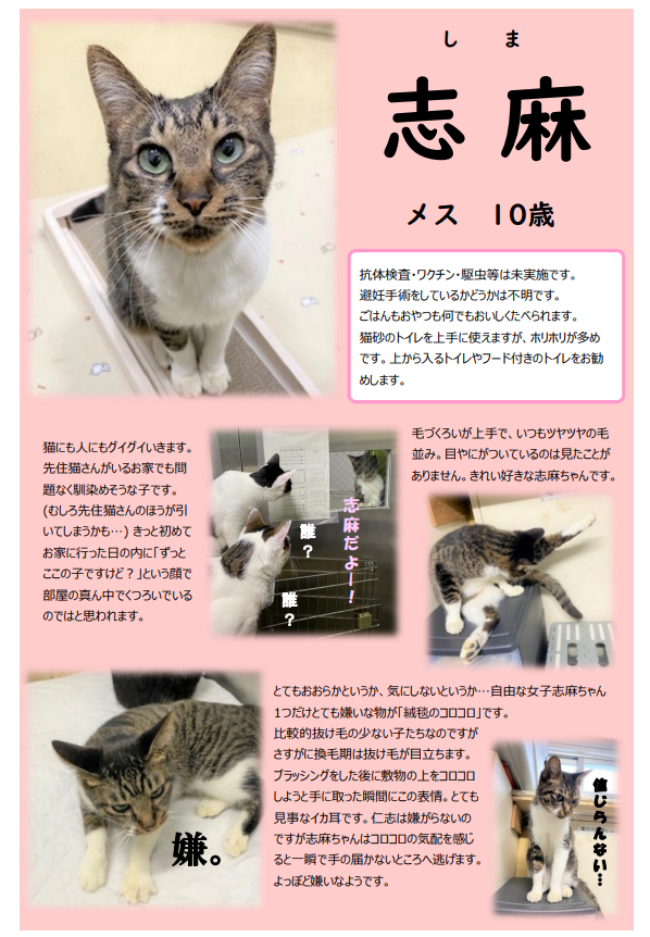 スクリーンショット 2025-11-28 170600.png