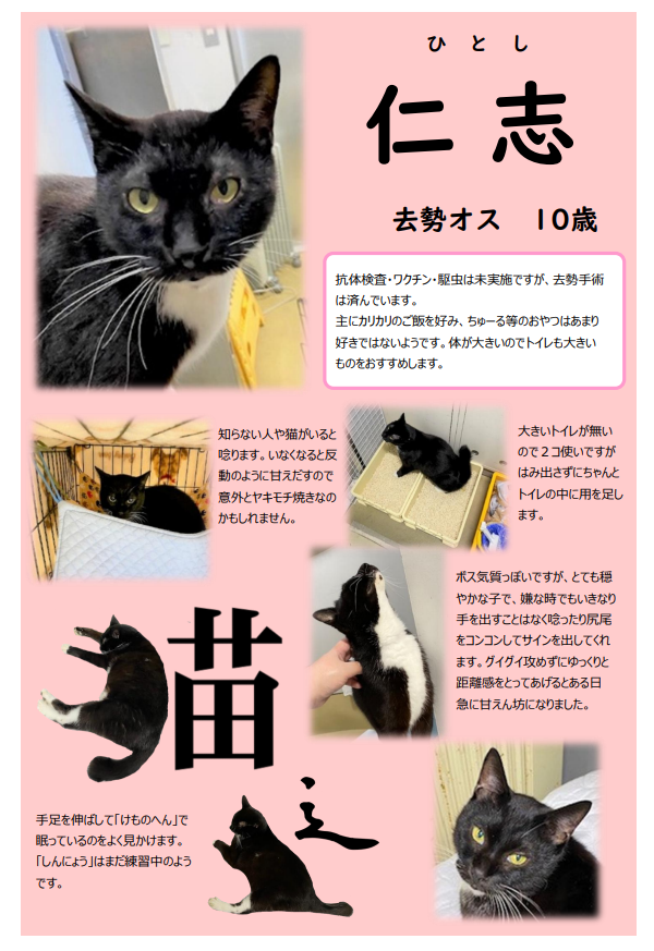 スクリーンショット 2025-11-28 170625.png