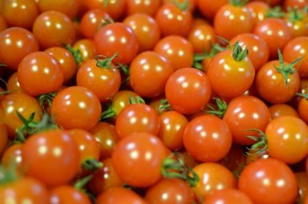 tomato.JPG