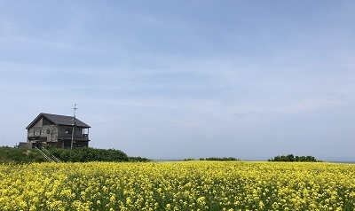 礼受牧場