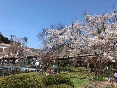 古丹別緑ヶ丘公園