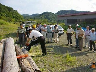 チェーンソー作業の見学