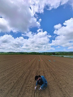 大豆のは種作業を丁寧に行いました