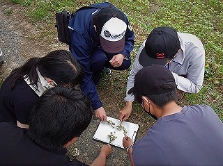 作物を取り巻く環境と耕種的防除を考えよう