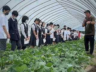 松原農業士より、「とままえメロン」ブランドや栽培のポイント、メロンを核とした経営について学ぶ