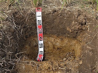 土壌の断面を観察するために、水田に穴を掘ったところ