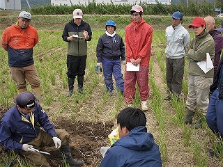 研究員から土壌の違いについて、説明を受けている様子